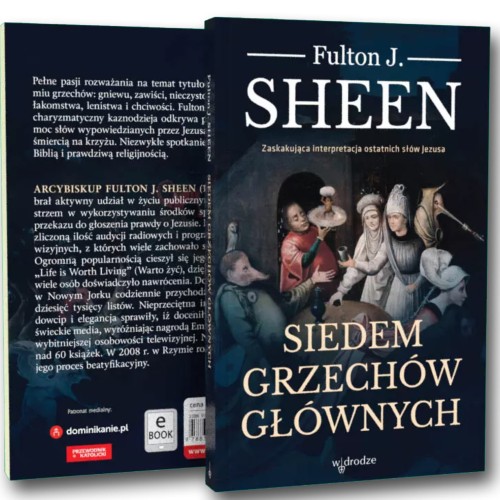 siedem grzechow glownych fulton sheen moc w slabosci sklep.jpg