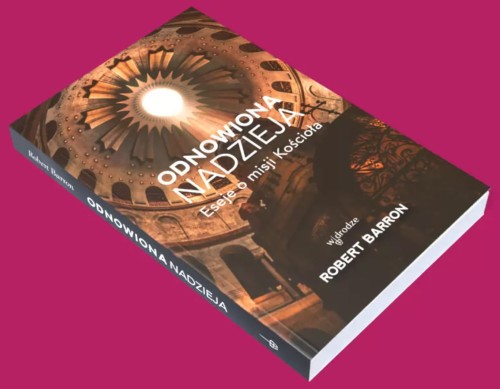 odnowiona nadzieja robert barron moc w slabosci sklep shop.jpg