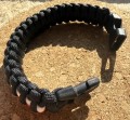 IMG_1382.jpeg