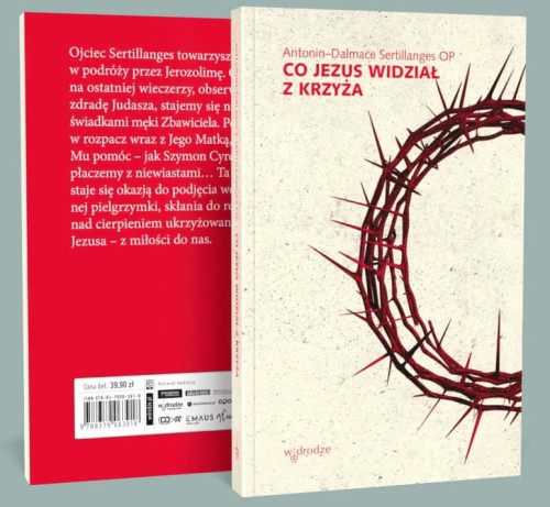 Co Jezus widział z krzyża - Antonin-Dalmace Sertillanges OP