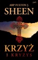 krzyz i kryzys sheen.jpeg